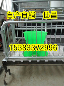 母豬產床